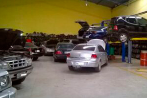nelcar (1)